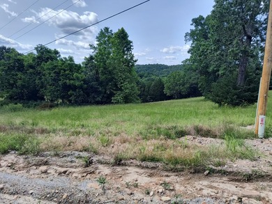This is a private air strip with a 3,000 ft. paved runway next - photo 10