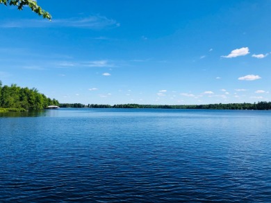 Amber Lake Lot - Lake Lot For Sale in Minocqua, Wisconsin