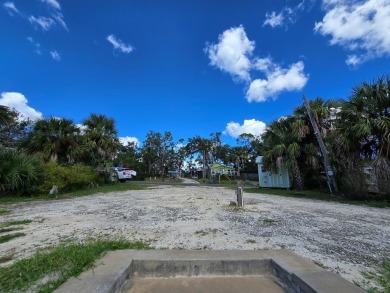 (private lake, pond, creek) Lot For Sale in Steinhatchee Florida