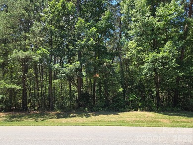 This Badin Lake area lot is located in the prestigious gated - photo 1