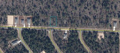 Electricity at the road, SEPTIC required, and water confirmed - photo 3