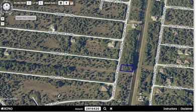Perfect lot to build your dream home in the BOOMING area of Palm - photo 2