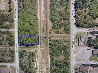 Perfect lot to build your dream home in the BOOMING area of Palm - photo 3