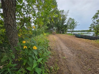 Lake Acreage For Sale in Dassel, Minnesota
