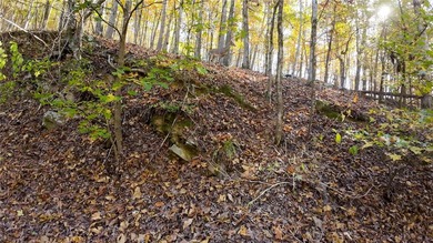 Foxcroft Hideout in Little Rock, Arkansas offers 31.55?+/-?acres - photo 21