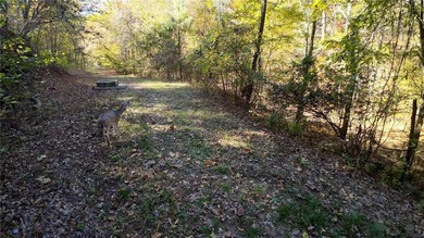 Foxcroft Hideout in Little Rock, Arkansas offers 31.55?+/-?acres - photo 22