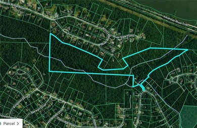 Foxcroft Hideout in Little Rock, Arkansas offers 31.55?+/-?acres - photo 31