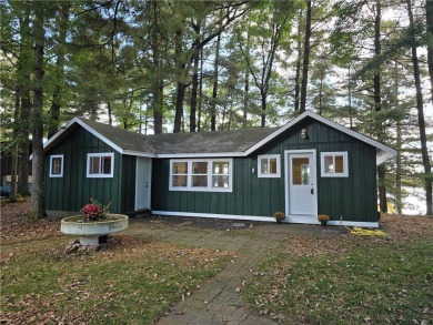 Lake Home ActiveUnderContr in Chetek, Wisconsin