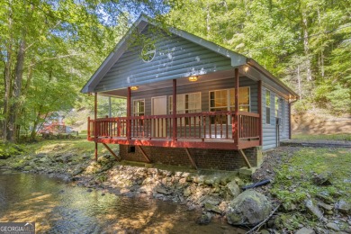 Lake Home For Sale in Cleveland, Georgia