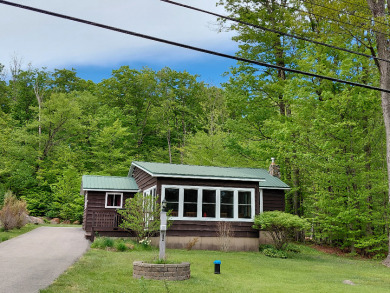 Peaceful Peck Lake! Beautiful lake views from this home! - photo 1