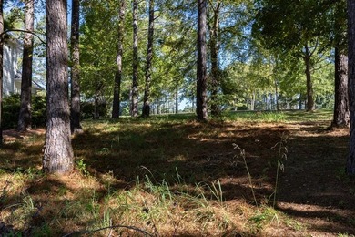 Discover the perfect setting for your dream home with this - photo 15