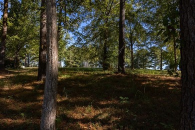 Discover the perfect setting for your dream home with this - photo 17