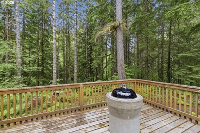 Escape to the mountains and enjoy everything Northwoods has to - photo 30
