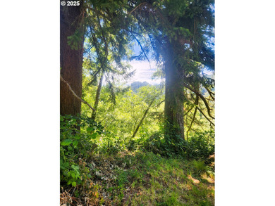 Siuslaw River Lot For Sale in Mapleton Oregon