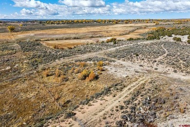 Kyle Roberts, Wells Group Real Estate, C:,,: An extraordinary - photo 12