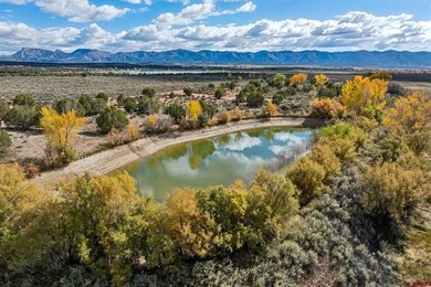 Kyle Roberts, Wells Group Real Estate, C:,,: An extraordinary - photo 14