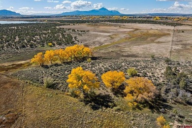 Kyle Roberts, Wells Group Real Estate, C:,,: An extraordinary - photo 17