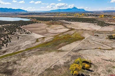 Kyle Roberts, Wells Group Real Estate, C:,,: An extraordinary - photo 18