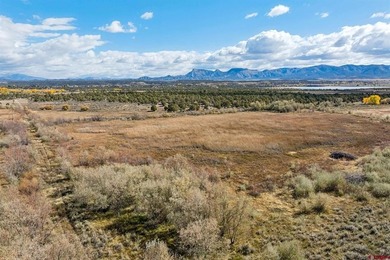 Kyle Roberts, Wells Group Real Estate, C:,,: An extraordinary - photo 19
