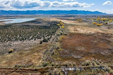 Kyle Roberts, Wells Group Real Estate, C:,,: An extraordinary - photo 20