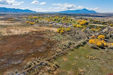 Kyle Roberts, Wells Group Real Estate, C:,,: An extraordinary - photo 21