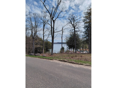 Peaceful Peck Lake! Beautiful lake views from this home! - photo 4