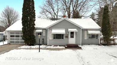 Lake Home For Sale in Saint Louis, Michigan