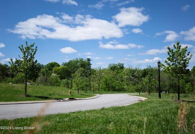 LOT 6 / Experience the beauty and tranquility of Poplar Hill - photo 4