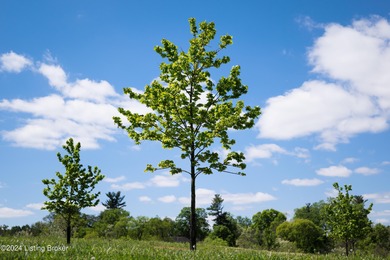 LOT 6 / Experience the beauty and tranquility of Poplar Hill - photo 6