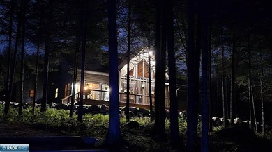 Crane Lake- Enjoy 6.2 private waterfront wooded acres - photo 47
