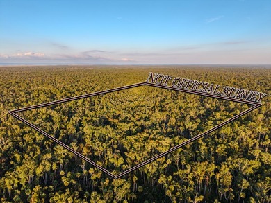 Escape to the peaceful outdoors with this 40-acre tract located - photo 2