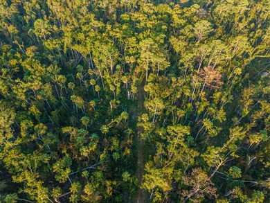 Escape to the peaceful outdoors with this 40-acre tract located - photo 3
