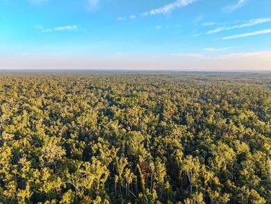 Escape to the peaceful outdoors with this 40-acre tract located - photo 4