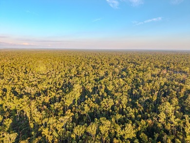 Escape to the peaceful outdoors with this 40-acre tract located - photo 5