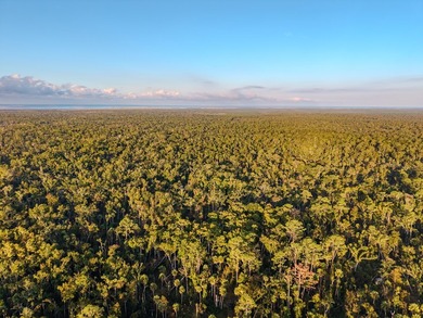 Escape to the peaceful outdoors with this 40-acre tract located - photo 7