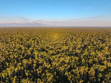 Escape to the peaceful outdoors with this 40-acre tract located - photo 8