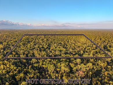 Escape to the peaceful outdoors with this 40-acre tract located - photo 10