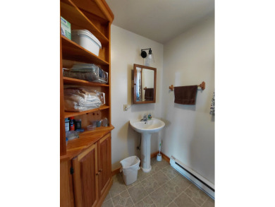 Peaceful Peck Lake! Beautiful lake views from this home! - photo 18