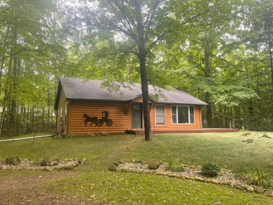 Chute Pond Home For Sale in Mountain Wisconsin