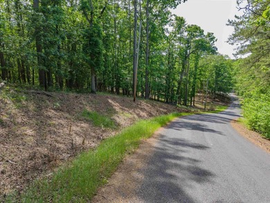 Here is a wonderful opportunity for you to own almost 2 acres of - photo 14