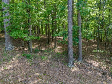 Here is a wonderful opportunity for you to own almost 2 acres of - photo 16