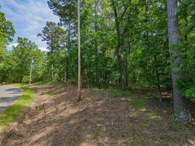 Here is a wonderful opportunity for you to own almost 2 acres of - photo 17