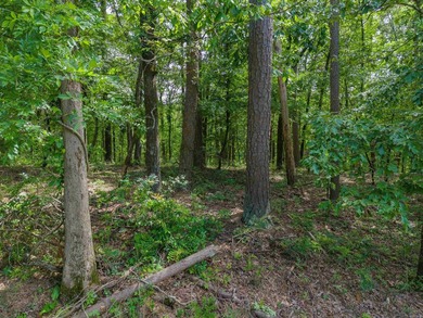 Here is a wonderful opportunity for you to own almost 2 acres of - photo 20