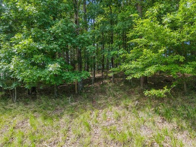 Here is a wonderful opportunity for you to own almost 2 acres of - photo 21