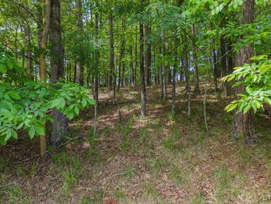 Here is a wonderful opportunity for you to own almost 2 acres of - photo 23