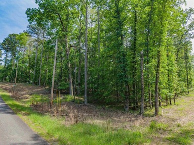 Here is a wonderful opportunity for you to own almost 2 acres of - photo 24