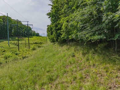 Here is a wonderful opportunity for you to own almost 2 acres of - photo 28
