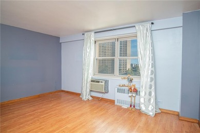 Trump Village, Section 3 - Spacious 1BR with Balcony

Bright