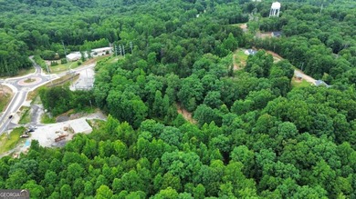 A rare opportunity awaits with nearly 28 acres in the foothills - photo 10
