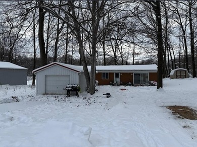 Lake Home For Sale in Leroy, Michigan